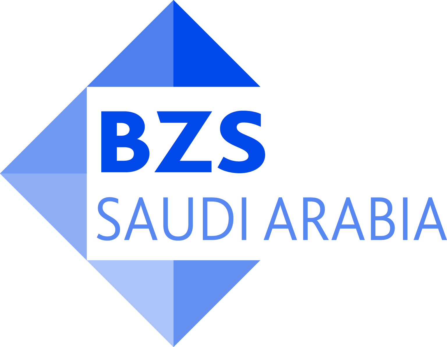 شركة بيل زاروبيج ستروي العربيةالسعودية المحدودة